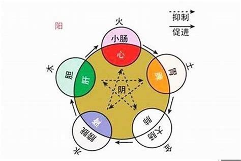 命 格 五行|如何查自己五行什么命 快速查自己的五行属性